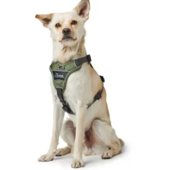 New Divo Up hundesele S-M grøn/grå just mave 52-68 cm - Stabil komfort i hverdagen Hvalpeseler - Bløde Justerbare Seler Der Giver Din Hvalp Tryghed Og Støtte På Turen|Hundeseler Til Alle Behov Og Hundestørrelser