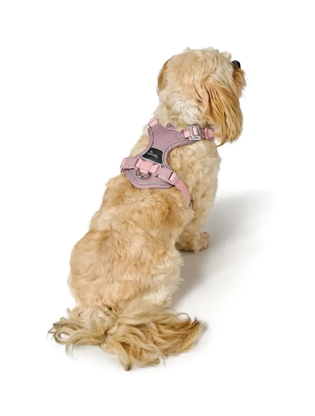 Outlet Divo Up hundesele S-M lyserød just mave 52-56 cm - Fleksibel pasform og rolig bevægelse Hvalpeseler - Bløde Justerbare Seler Der Giver Din Hvalp Tryghed Og Støtte På Turen|Hundeseler Til Alle Behov Og Hundestørrelser