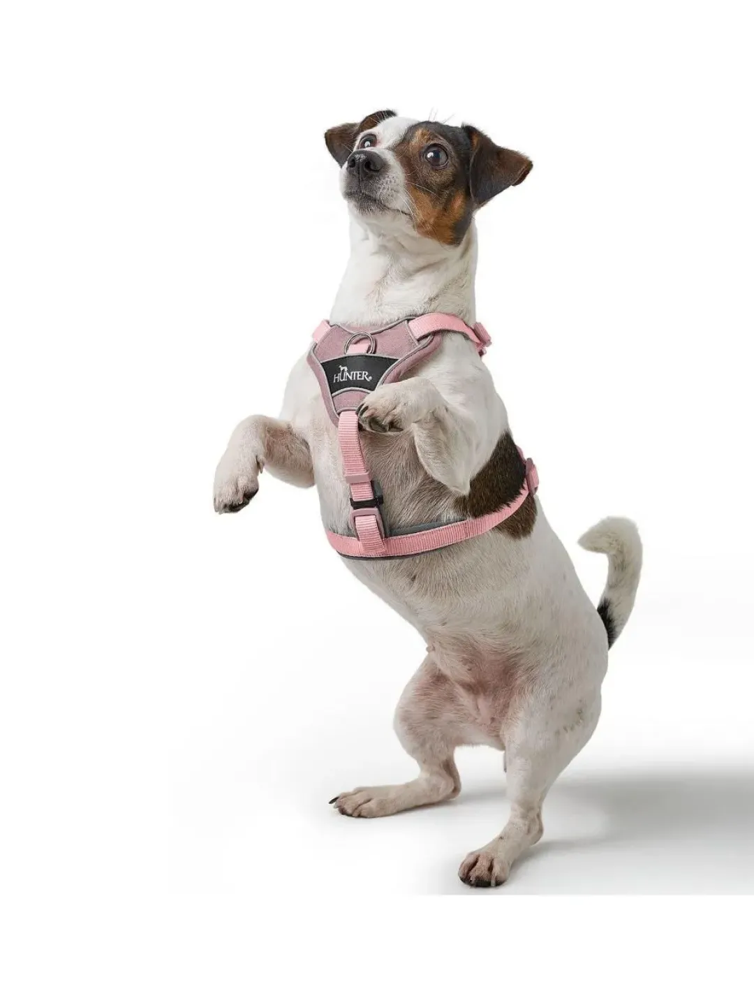 Outlet Divo Up hundesele S-M lyserød just mave 52-56 cm - Fleksibel pasform og rolig bevægelse Hvalpeseler - Bløde Justerbare Seler Der Giver Din Hvalp Tryghed Og Støtte På Turen|Hundeseler Til Alle Behov Og Hundestørrelser
