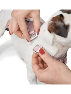 Outlet Divo Up hundesele S-M lyserød just mave 52-56 cm - Fleksibel pasform og rolig bevægelse Hvalpeseler - Bløde Justerbare Seler Der Giver Din Hvalp Tryghed Og Støtte På Turen|Hundeseler Til Alle Behov Og Hundestørrelser