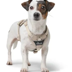 Clearance Divo Up hundesele XS beige just mave 34-47 cm - Nem påtagning og ergonomisk komfort Hvalpeseler - Bløde Justerbare Seler Der Giver Din Hvalp Tryghed Og Støtte På Turen|Hundeseler Til Alle Behov Og Hundestørrelser