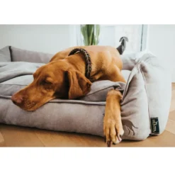 Clearance Eiby hundeseng L 100x70 cm Grå Hundesenge Og Kurve Til Hunde - Bløde Og Komfortable|Sovepladser Til Hvalpe - Hundesenge, Kølemåtter Og Trygge Hvilesteder