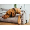 Sale Eiby hundeseng Medium 80x60 cm Grå Hundesenge Og Kurve Til Hunde - Bløde Og Komfortable|Sovepladser Til Hvalpe - Hundesenge, Kølemåtter Og Trygge Hvilesteder