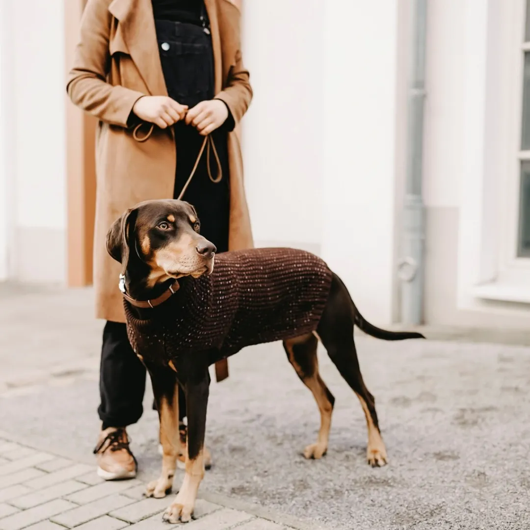 Best Finja pullover strik mørkebrun str. 55 Hundetøj Til Hvalpe - Varme Dækkener Og Sko Til Trygge Gåture|Hundetøj Til Alle Hunde Med Varme Dækkener Og Sko