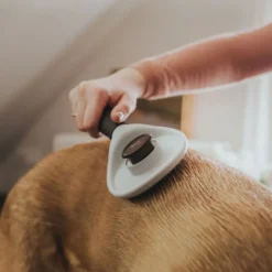 Clearance Glattende Selvrensende Børste stor Plejemidler Til Hund Med Fokus På Sundhed Og Velvære|Pleje Af Hvalpe - Alt I Plejemidler Til Pels, Poter Og Hud