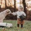 Hot Godbidstaske Tyra Khaki Hundetilbehør Til Hvalpe - Tryg Start I Hverdagen|Tilbehør Til Hund - Alt Til En Glad Og Tryg Hverdag For Din Bedste Ven