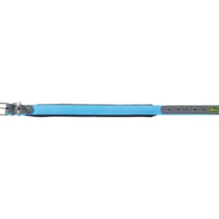 Best Halsbånd Convenience 45 Blå - 33-40 cm Hvalpehalsbånd - Bløde Og Sikre Halsbånd Med Perfekt Pasform Til Din Hvalp|Hundehalsbånd Med Stil - Komfort Og Sikkerhed Til Din Hund