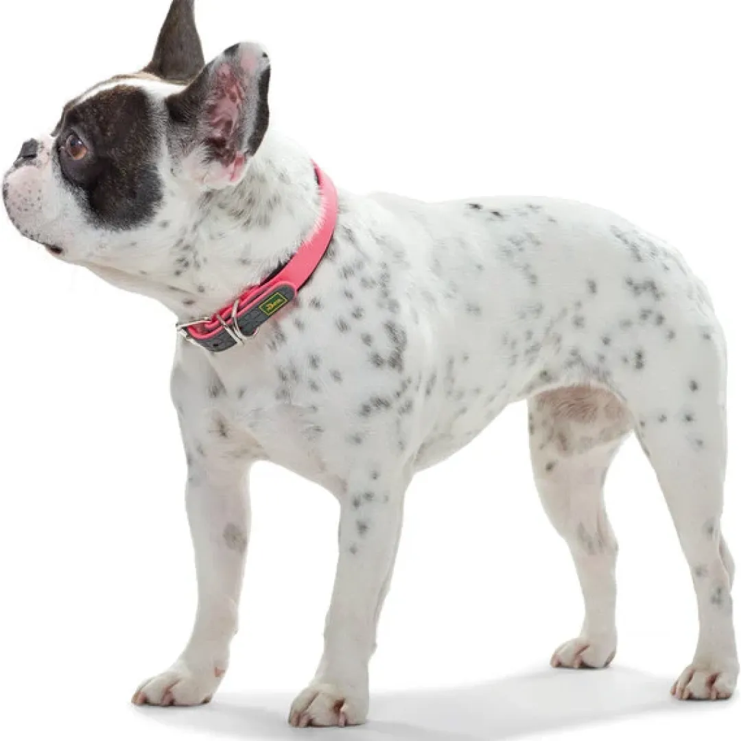 Halsbånd Convenience NeonPink 60 - 45-55 cm Hvalpehalsbånd - Bløde Og Sikre Halsbånd Med Perfekt Pasform Til Din Hvalp|Hundehalsbånd Med Stil - Komfort Og Sikkerhed Til Din Hund
