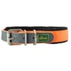 Sale Halsbånd Convenience 60 Orange - 45-55 cm Hvalpehalsbånd - Bløde Og Sikre Halsbånd Med Perfekt Pasform Til Din Hvalp|Hundehalsbånd Med Stil - Komfort Og Sikkerhed Til Din Hund