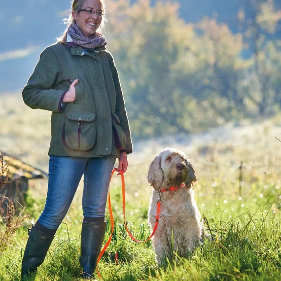 Hot Halsbånd Convenience 45 Orange - 33-40 cm Hvalpehalsbånd - Bløde Og Sikre Halsbånd Med Perfekt Pasform Til Din Hvalp|Hundehalsbånd Med Stil - Komfort Og Sikkerhed Til Din Hund