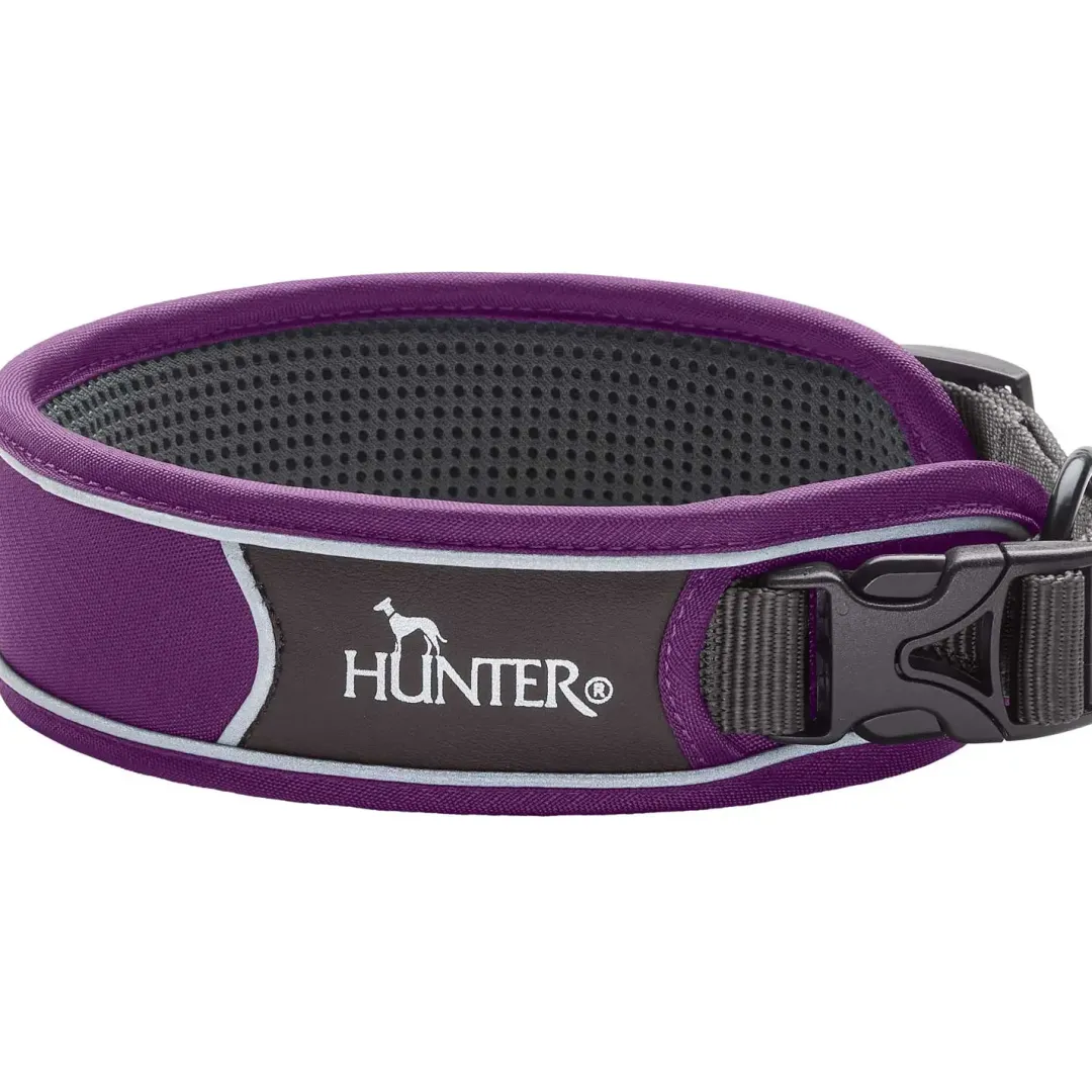 Hot Halsbånd Divo L Violet/Grå - justerbart hundehalsbånd (45-55 cm, B 4,5 cm) Hvalpehalsbånd - Bløde Og Sikre Halsbånd Med Perfekt Pasform Til Din Hvalp|Hundehalsbånd Med Stil - Komfort Og Sikkerhed Til Din Hund