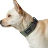 Clearance Halsbånd Divo M Grøn/Grå - justerbart hundehalsbånd (35-45 cm, B 4,5 cm) Hvalpehalsbånd - Bløde Og Sikre Halsbånd Med Perfekt Pasform Til Din Hvalp|Hundehalsbånd Med Stil - Komfort Og Sikkerhed Til Din Hund