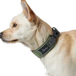 Clearance Halsbånd Divo S Grøn/Grå - justerbart hundehalsbånd (25-35 cm, B 4 cm) Hvalpehalsbånd - Bløde Og Sikre Halsbånd Med Perfekt Pasform Til Din Hvalp|Hundehalsbånd Med Stil - Komfort Og Sikkerhed Til Din Hund