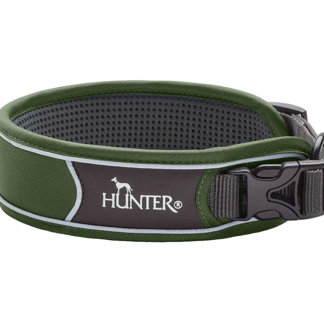 Clearance Halsbånd Divo S Grøn/Grå - justerbart hundehalsbånd (25-35 cm, B 4 cm) Hvalpehalsbånd - Bløde Og Sikre Halsbånd Med Perfekt Pasform Til Din Hvalp|Hundehalsbånd Med Stil - Komfort Og Sikkerhed Til Din Hund