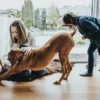 Hot Halsbånd Divo S Petrol/Grå - justerbart hundehalsbånd (25-35 cm, B 4 cm) Hvalpehalsbånd - Bløde Og Sikre Halsbånd Med Perfekt Pasform Til Din Hvalp|Hundehalsbånd Med Stil - Komfort Og Sikkerhed Til Din Hund