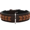 Discount Halsbånd El Paso M Brun/Sort 55 - 42-48 cm Hvalpehalsbånd - Bløde Og Sikre Halsbånd Med Perfekt Pasform Til Din Hvalp|Hundehalsbånd Med Stil - Komfort Og Sikkerhed Til Din Hund