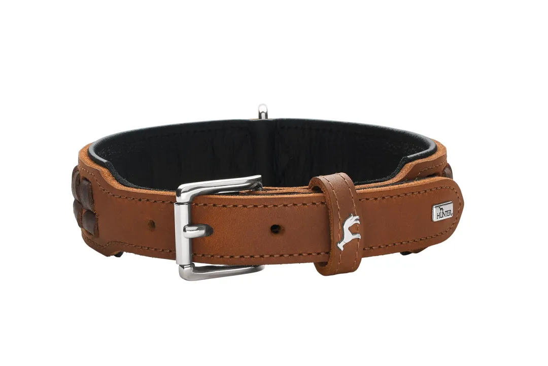 Clearance Halsbånd El Paso M-L 60 Cognac/Sort - 46-52 cm Hvalpehalsbånd - Bløde Og Sikre Halsbånd Med Perfekt Pasform Til Din Hvalp|Hundehalsbånd Med Stil - Komfort Og Sikkerhed Til Din Hund