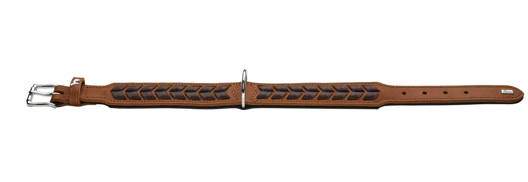 Clearance Halsbånd El Paso M-L 60 Cognac/Sort - 46-52 cm Hvalpehalsbånd - Bløde Og Sikre Halsbånd Med Perfekt Pasform Til Din Hvalp|Hundehalsbånd Med Stil - Komfort Og Sikkerhed Til Din Hund