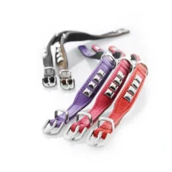 Clearance halsbånd Rocky Petit 30 Sort - 23-27 cm Hvalpehalsbånd - Bløde Og Sikre Halsbånd Med Perfekt Pasform Til Din Hvalp|Hundehalsbånd Med Stil - Komfort Og Sikkerhed Til Din Hund