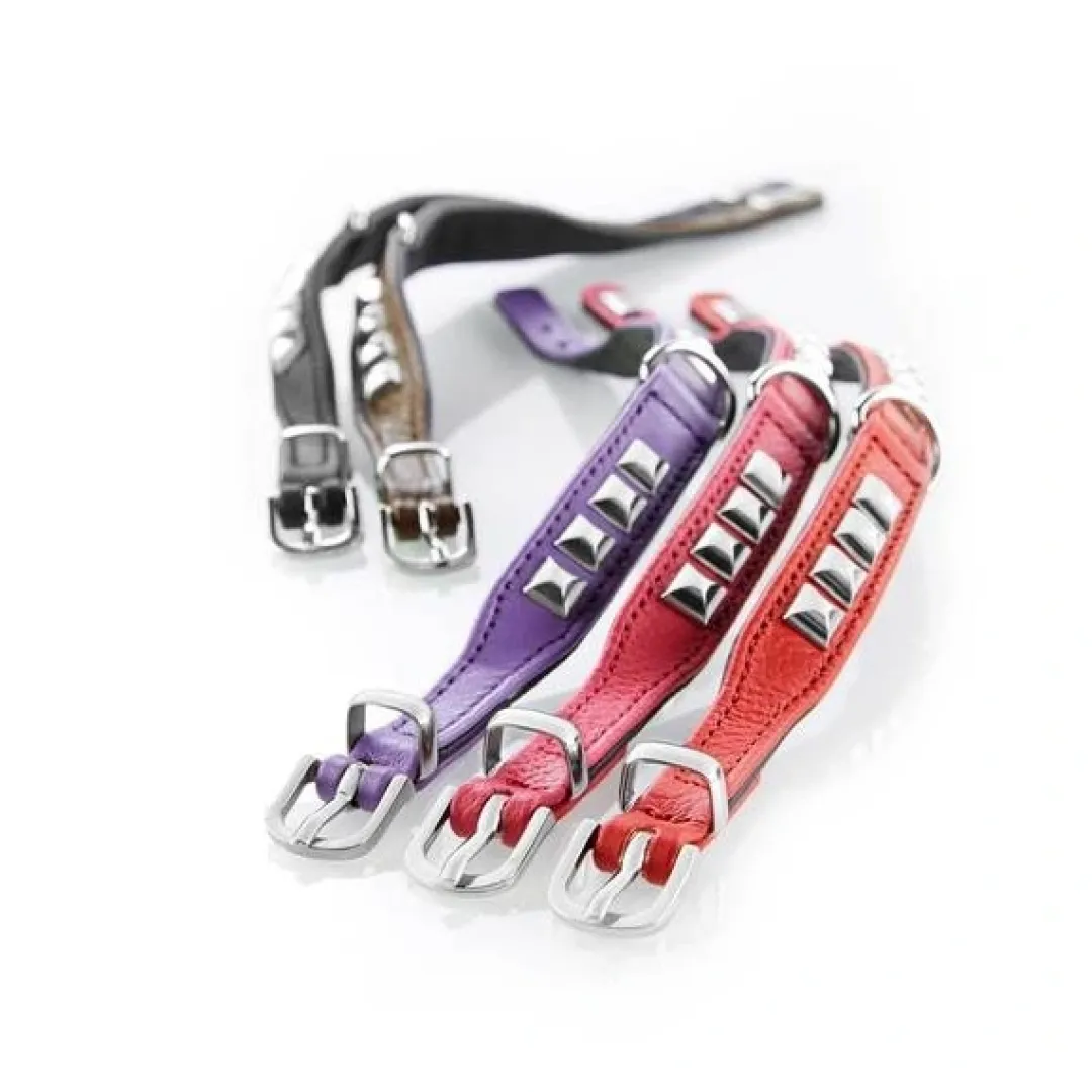 Clearance halsbånd Rocky Petit 30 Sort - 23-27 cm Hvalpehalsbånd - Bløde Og Sikre Halsbånd Med Perfekt Pasform Til Din Hvalp|Hundehalsbånd Med Stil - Komfort Og Sikkerhed Til Din Hund