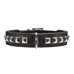Clearance halsbånd Rocky Petit 30 Sort - 23-27 cm Hvalpehalsbånd - Bløde Og Sikre Halsbånd Med Perfekt Pasform Til Din Hvalp|Hundehalsbånd Med Stil - Komfort Og Sikkerhed Til Din Hund