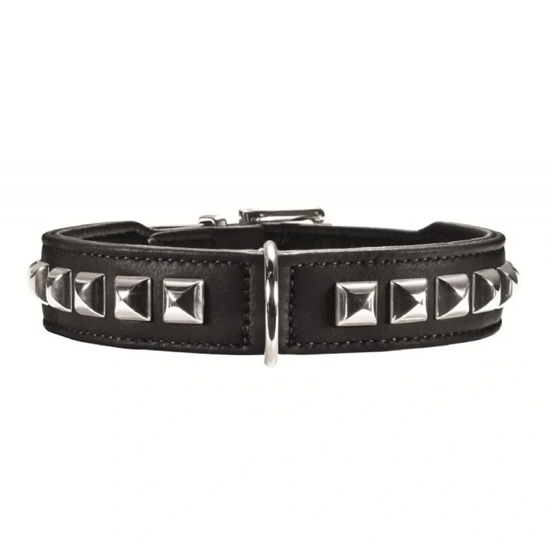 Clearance halsbånd Rocky Petit 30 Sort - 23-27 cm Hvalpehalsbånd - Bløde Og Sikre Halsbånd Med Perfekt Pasform Til Din Hvalp|Hundehalsbånd Med Stil - Komfort Og Sikkerhed Til Din Hund