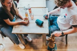 Discount Hilo Basic Godbidstaske Turkis Hundetilbehør Til Hvalpe - Tryg Start I Hverdagen|Tilbehør Til Hund - Alt Til En Glad Og Tryg Hverdag For Din Bedste Ven