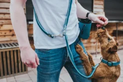 Discount Hilo Basic Godbidstaske Turkis Hundetilbehør Til Hvalpe - Tryg Start I Hverdagen|Tilbehør Til Hund - Alt Til En Glad Og Tryg Hverdag For Din Bedste Ven