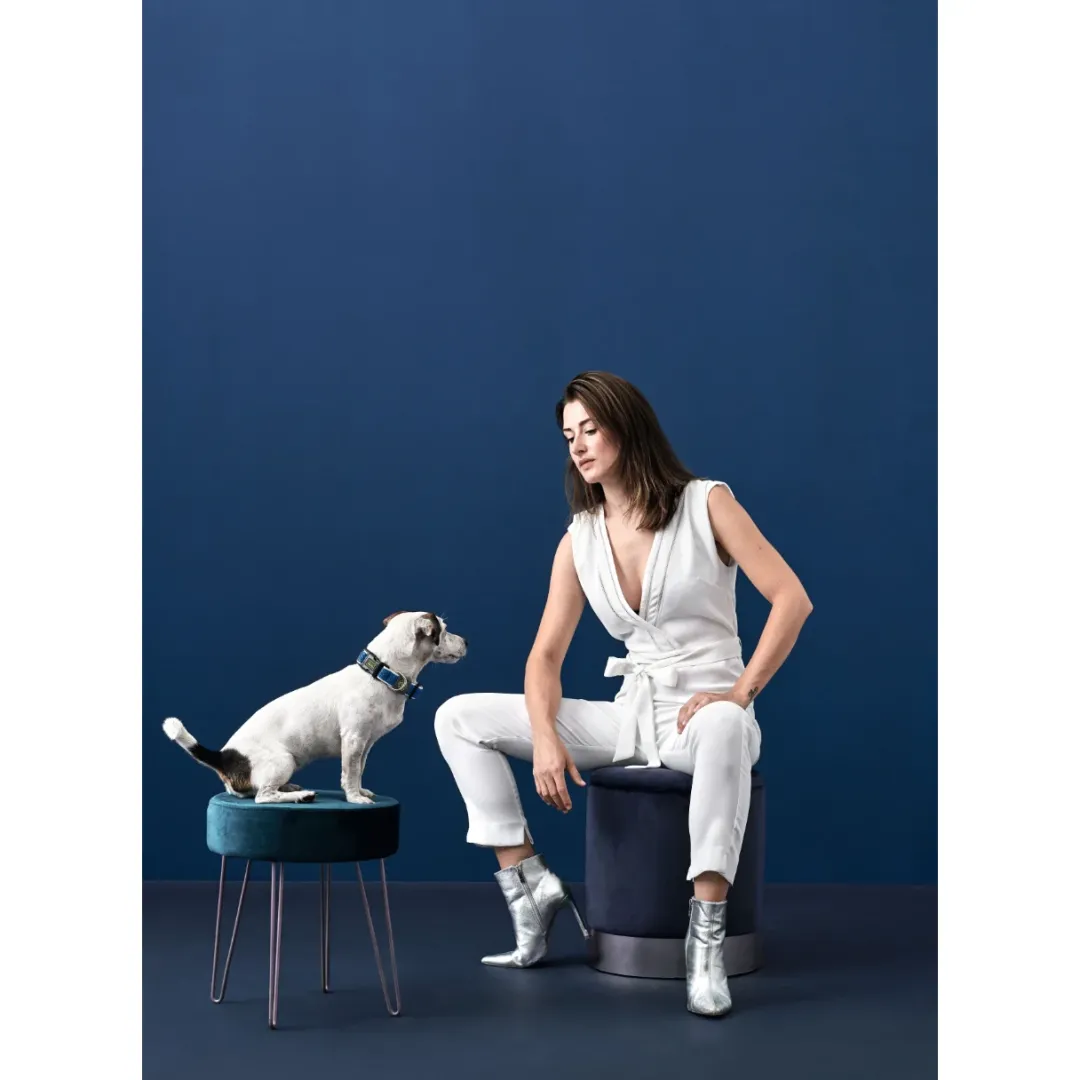 Clearance hunde halsbånd Hilo Blå L-XL - justerbart hundehalsbånd (40-60 cm, B 3,2 cm) Hvalpehalsbånd - Bløde Og Sikre Halsbånd Med Perfekt Pasform Til Din Hvalp|Hundehalsbånd Med Stil - Komfort Og Sikkerhed Til Din Hund