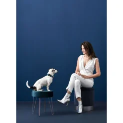 Clearance hunde halsbånd Hilo Blå L-XL - justerbart hundehalsbånd (40-60 cm, B 3,2 cm) Hvalpehalsbånd - Bløde Og Sikre Halsbånd Med Perfekt Pasform Til Din Hvalp|Hundehalsbånd Med Stil - Komfort Og Sikkerhed Til Din Hund