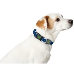 Online hunde halsbånd Hilo Blå S-M - justerbart hundehalsbånd (30-43 cm, B 2,5 cm) Hvalpehalsbånd - Bløde Og Sikre Halsbånd Med Perfekt Pasform Til Din Hvalp|Hundehalsbånd Med Stil - Komfort Og Sikkerhed Til Din Hund