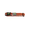 Discount hunde halsbånd Hilo Orange M-L - justerbart hundehalsbånd (33-50 cm, B 2,5 cm) Hvalpehalsbånd - Bløde Og Sikre Halsbånd Med Perfekt Pasform Til Din Hvalp|Hundehalsbånd Med Stil - Komfort Og Sikkerhed Til Din Hund
