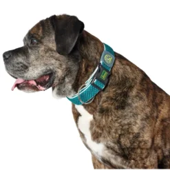 hunde halsbånd Hilo Turkis L-XL - justerbart hundehalsbånd (40-60 cm, B 3,2 cm) Hvalpehalsbånd - Bløde Og Sikre Halsbånd Med Perfekt Pasform Til Din Hvalp|Hundehalsbånd Med Stil - Komfort Og Sikkerhed Til Din Hund