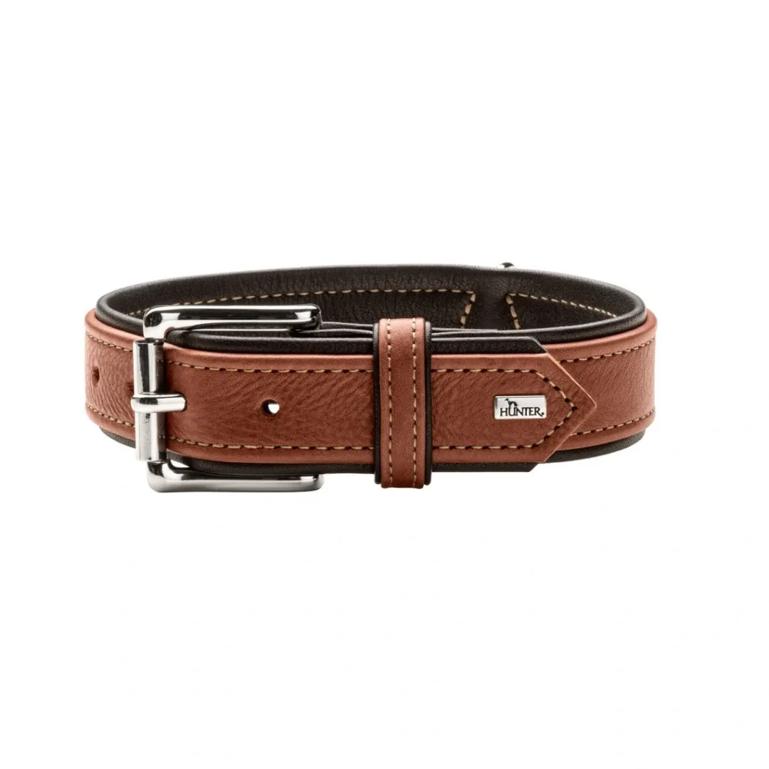 Outlet Hundehalsbånd læder Canada Elg Str.60 Cognac/Sort - 46-52 cm Hvalpehalsbånd - Bløde Og Sikre Halsbånd Med Perfekt Pasform Til Din Hvalp|Hundehalsbånd Med Stil - Komfort Og Sikkerhed Til Din Hund