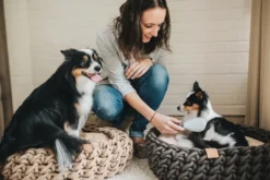 Sale hundekurv Linz antracitgrå Ø 50 cm Hundesenge Og Kurve Til Hunde - Bløde Og Komfortable|Sovepladser Til Hvalpe - Hundesenge, Kølemåtter Og Trygge Hvilesteder