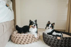 Sale hundekurv Linz antracitgrå Ø 50 cm Hundesenge Og Kurve Til Hunde - Bløde Og Komfortable|Sovepladser Til Hvalpe - Hundesenge, Kølemåtter Og Trygge Hvilesteder