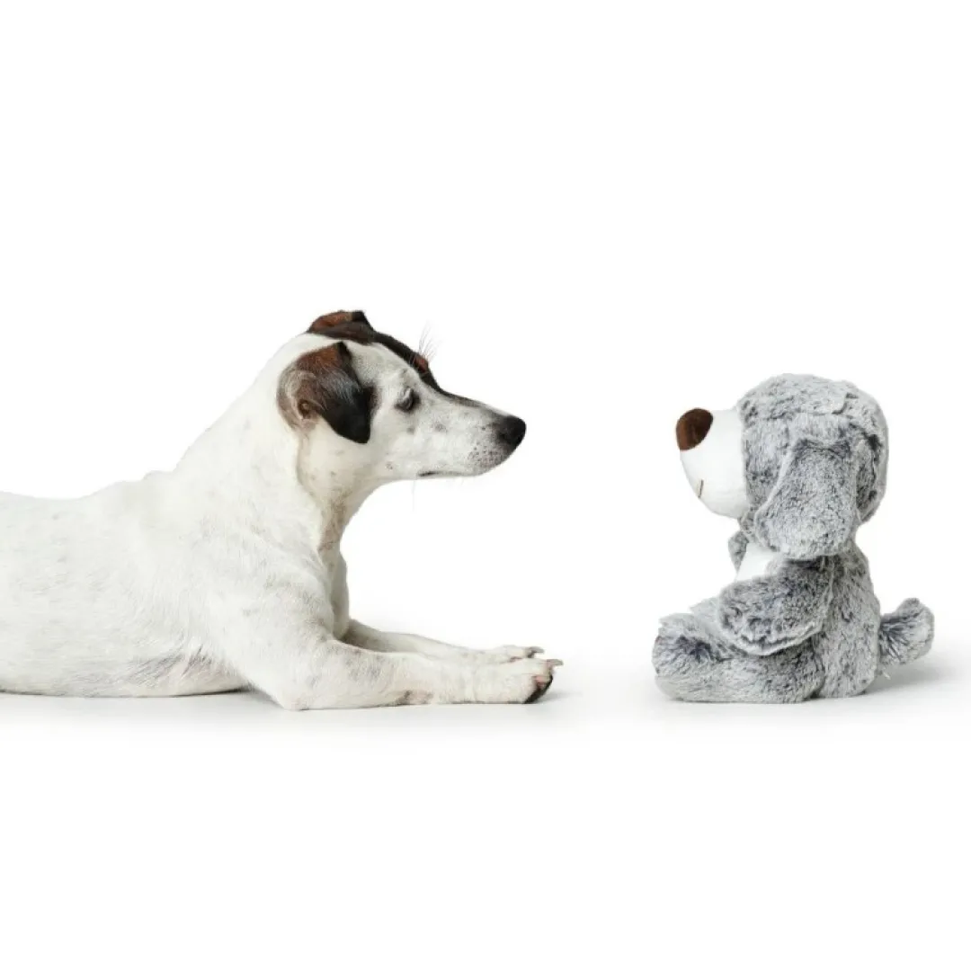 New Hundelegetøj Hund - bamse til hunde Hundelegetøj Til Alle Hunde Leg Og Aktivering Året Rundt|Legetøj Til Hvalpe - Sjov Leg, Aktivering Og Tryghed Fra Første Dag