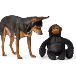 Clearance Hundelegetøj Kamerun Gorilla - bamse til mellemstore og store hunde Hundelegetøj Til Alle Hunde Leg Og Aktivering Året Rundt|Legetøj Til Hvalpe - Sjov Leg, Aktivering Og Tryghed Fra Første Dag