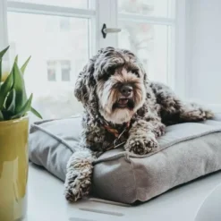 Discount hundepude Merida Medium 75 x 50 cm Grå Hundesenge Og Kurve Til Hunde - Bløde Og Komfortable|Sovepladser Til Hvalpe - Hundesenge, Kølemåtter Og Trygge Hvilesteder