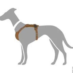 Online Hundesele Aalborg cognac S-M/1 - Bryst/hals 44-56 cm Hvalpeseler - Bløde Justerbare Seler Der Giver Din Hvalp Tryghed Og Støtte På Turen|Hundeseler Til Alle Behov Og Hundestørrelser