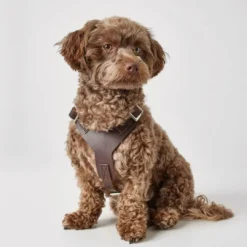 Hundesele Aalborg Mørkebrun XS - Bryst/Hals 38-52 cm Hvalpeseler - Bløde Justerbare Seler Der Giver Din Hvalp Tryghed Og Støtte På Turen|Hundeseler Til Alle Behov Og Hundestørrelser