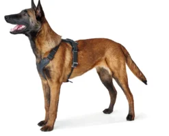 Hot Hundesele Aalborg Sort S-M/1 - 44-56 cm bryst/hals Hvalpeseler - Bløde Justerbare Seler Der Giver Din Hvalp Tryghed Og Støtte På Turen|Hundeseler Til Alle Behov Og Hundestørrelser