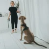 Sale Hundesele Aalborg Sort S-M/2 - 51-64 cm bryst/hals Hvalpeseler - Bløde Justerbare Seler Der Giver Din Hvalp Tryghed Og Støtte På Turen|Hundeseler Til Alle Behov Og Hundestørrelser