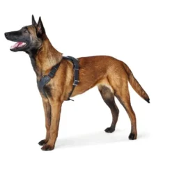 Outlet Hundesele Aalborg Sort M-L/2 - 62-90 cm bryst/hals Hvalpeseler - Bløde Justerbare Seler Der Giver Din Hvalp Tryghed Og Støtte På Turen|Hundeseler Til Alle Behov Og Hundestørrelser
