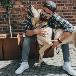 Outlet Hundesele Aalborg Sort M-L/2 - 62-90 cm bryst/hals Hvalpeseler - Bløde Justerbare Seler Der Giver Din Hvalp Tryghed Og Støtte På Turen|Hundeseler Til Alle Behov Og Hundestørrelser