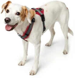 Clearance hundesele Maldon Rød og Grå S-M længde 46-82 cm 2,0 cm - fleksibel og stabil pasform Hundeseler Til Alle Behov Og Hundestørrelser