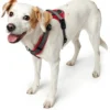 Best hundesele Maldon Rød og Grå L længde 66-118 cm 2,5 cm - stærk og komfortabel pasform Hundeseler Til Alle Behov Og Hundestørrelser