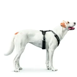 Clearance hundesele Maldon Sort og Grå XS længde 31-49 cm 1,5 cm - let og præcis pasform Hundeseler Til Alle Behov Og Hundestørrelser