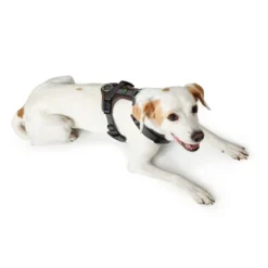 Clearance hundesele Maldon Sort og Grå XS længde 31-49 cm 1,5 cm - let og præcis pasform Hundeseler Til Alle Behov Og Hundestørrelser