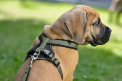 Sale hundesele Neopren Oliven S længde 45-57 cm 1,5 cm - blød og stabil komfort Hundeseler Til Alle Behov Og Hundestørrelser